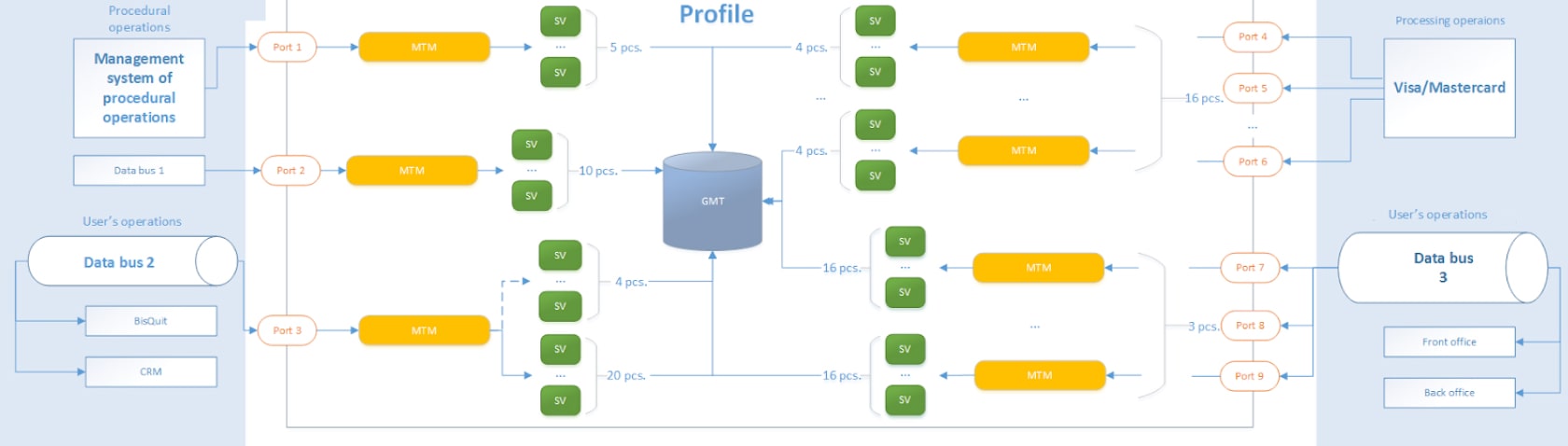 The FIS Profile testing task.